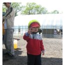 선망목장 이미지