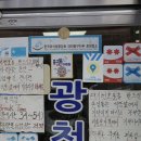 광천 | [대전여행] 대전 두루치기 맛집, 광천식당 방문후기