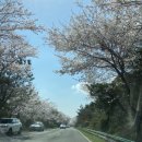 산록남로입구