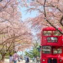 진해구 ⓒ-42 이미지