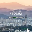 ‘2024 전국생활체육대축전’ 기량 뽐낸 대구·경북선수단