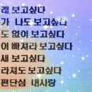 금사4