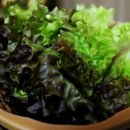 장수뷔페 이미지