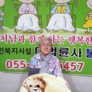 불심원 이미지