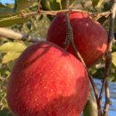 학가산축산 이미지