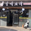 갈매오리