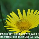 [성경필사] 나는 예배자입니다 _ 2024.08.04 _ 주일에 주신 말씀 이미지