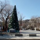 씨유 태백황지연못점 | 태백시 황지연못.황지자유시장