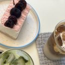 한성대 디저트 맛집,카페 추천_스파웃커피 솔직후기(애견동반 가능)