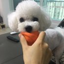 까까멍 이미지
