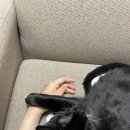 동찬농장 이미지