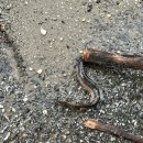 미순농장 이미지