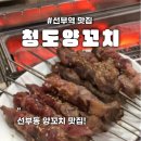 안산 선부역 개인적인 1등 양꼬치 찐 맛집_청도양꼬치