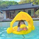 스테이 서하 이미지