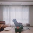 YH커튼