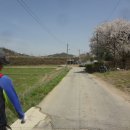 신양2리 이미지