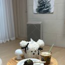 [경기/화성] 호수공원 동탄스콘맛집 사르보 sarbo