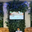 벨룸(Velum)리조트 | 제주 서귀포 가족 6인이 머물수있는 숙소 벨룸리조트 조식 내돈내산 후기