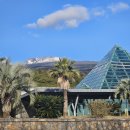 볼레낭집 | '빛나는 제주' 3박 4일 여행후기 1. 5일차