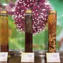 제천약초시장 이미지