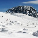 2016년 1월16(토)-17일(일)1박2일 제주도 한라산 눈꽃 산행 및 동백동산 올레길 트레킹 공지 이미지