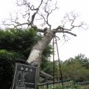 장전제 | 100대 명산 전남 장흥 천관산 (공)&lt;R2&gt;
