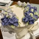 코스포덤 이미지