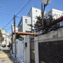 멍멍이천국 | [등촌역 카페] 이색카페 피규어 천국 클럽제옌다이져 솔직 후기