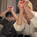 사랑 스테이 이미지