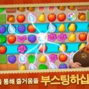 꿈의 정원 이미지