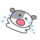 보그헤어춘천퇴계점