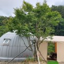 청정가내농촌체험휴양마을 이미지