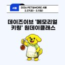 데이즈이브