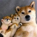 오렌지세탁 이미지