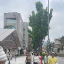 특수임무유공자회 서울특별시지부 서초구지회 이미지