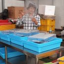 덕치농장 이미지