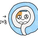 강남 큐브 전자담배 이미지