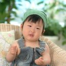 성남사 - 보성군 채동선로 198-1 | 성남사
