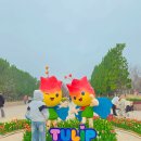 꼭 알고 가볼만한 한국사 이야기와 여행지 | 역대급 스케일, 전남 신안 임자도 튤립축제 2026 가볼만한곳 실시간 여행 입장료