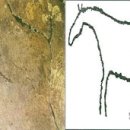 초원대중 이미지