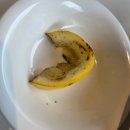 독립문역 3번출구 | 독립문역 맛집ㅣ분위기 좋은 데이트 맛집 독립밀방 내돈내산 후기