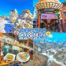 매일카프라자 | 평창 여행 코스 용평리조트 발왕산 케이블카 스카이워크 올림픽시장