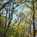 제31사단정비대대 | 아름다운 곡선 남한산성 가을 여행 ~ 가을 낙엽속의 자아를 찾는 여정