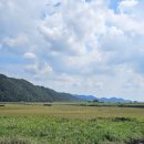 민들래민박 이미지