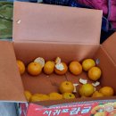 고내농장 이미지