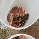 왜관ic실내바다낚시터 이미지