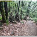 달서구청소년수련관 이미지