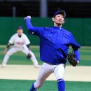 내츄럴 라파 이미지