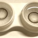 그레잇콘택트 이미지