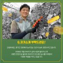 농민농장 이미지